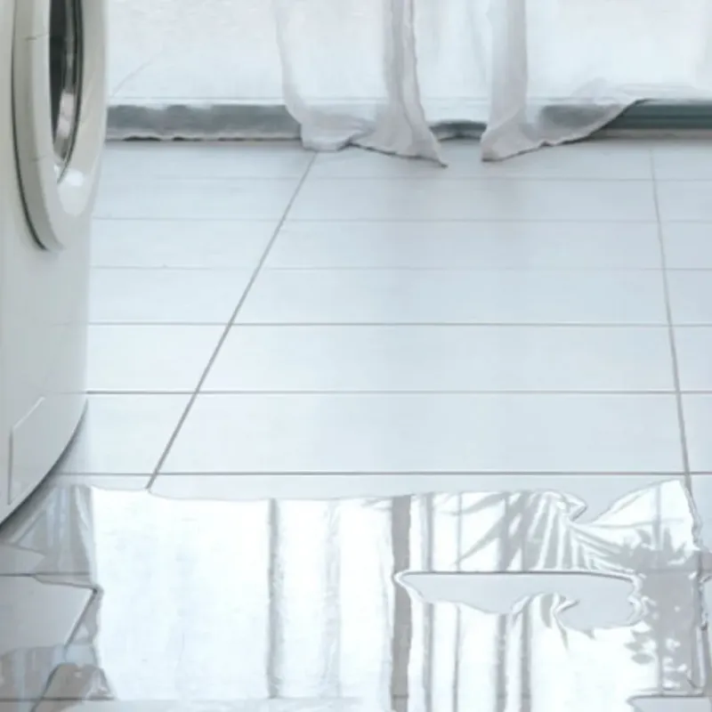 Appliance Leak Cleanup in Sparta, NC