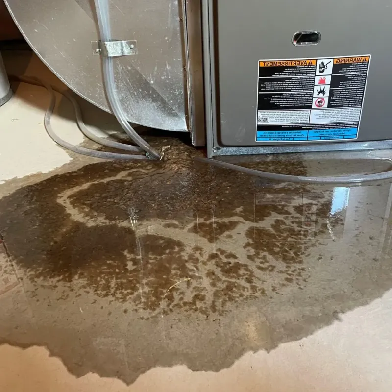 Pipe Burst and Leak Restoration in Sparta, NC