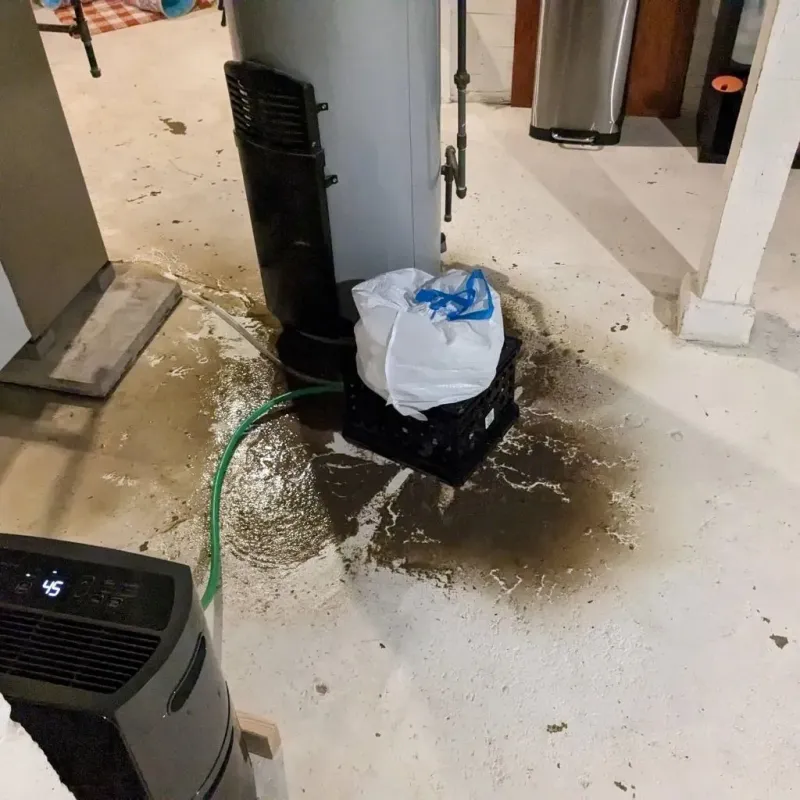 Sewage Backup Cleanup Service in Sparta, NC